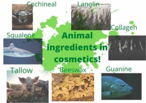 Animal ingredients in makeup