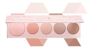 100% fruit pigmented pretty naked palette